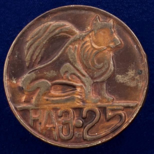 26835\120517 Значок &quot;НАЭ-25&quot;