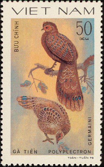 (1979-043) Марка Вьетнам &quot;Павлин-фазан Жермена&quot;    Птицы II Θ