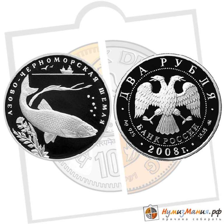 (086 спмд) Монета Россия 2008 год 2 рубля &quot;Азово-черноморская шемая&quot;  Серебро (Ag)  PROOF