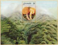 (№1986-162) Блок марок Гренада 1986 год "Eriophora Cystolepiota", Гашеный