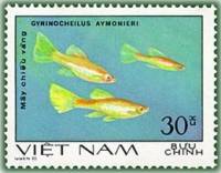 (1981-004) Марка Вьетнам "Сосущий вьюн"    Декоративные рыбки III O