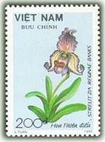 (1989-104a) Марка Вьетнам "Пафиопедилум"  Без перфорации  Цветы III Θ
