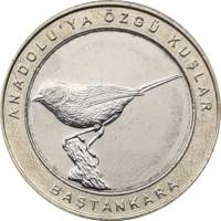 (2019) Монета Турция 2019 год 1 куруш "Синица" Внешнее кольцо жёлтое Биметалл  UNC