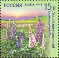 2014-034 Марка Россия Люпин многолистный  Флора России. Полевые цветы III O