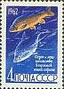 1962-079 Марка СССР Лещ и сазан   Рыбы II Θ