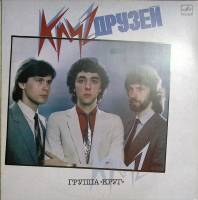 Пластинка виниловая Гр. Круг Круг друзей Мелодия 300 мм. Excellent