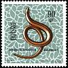 (1963-028) Марка Польша "Ломкая веретеница"   Рептилии и амфибии II Θ
