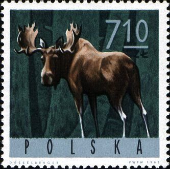 (1965-082) Марка Польша &quot;Лось&quot; , II Θ