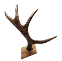 Рог лося большой высота 46 см ширина 56 см красивый 