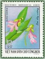 (1976-026) Марка Вьетнам "Хабенария розовогубая"   Орхидеи III Θ