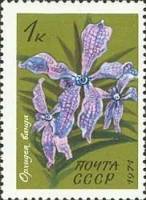 1971-121 Марка СССР Орхидея ванда   Тропические и субтропические растения III Θ