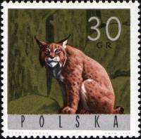 (1965-075) Марка Польша "Рысь"   Животные II Θ
