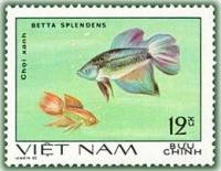 (1981-002a) Марка Вьетнам "Бойцовая рыбка"  Без перфорации  Декоративные рыбки III Θ