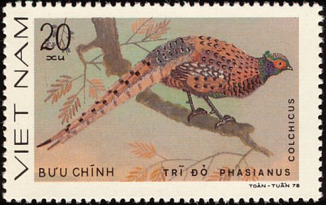 (1979-040a) Сцепка (2 м) Вьетнам &quot;Обыкновенный фазан&quot;  Без перфорации  Птицы III Θ