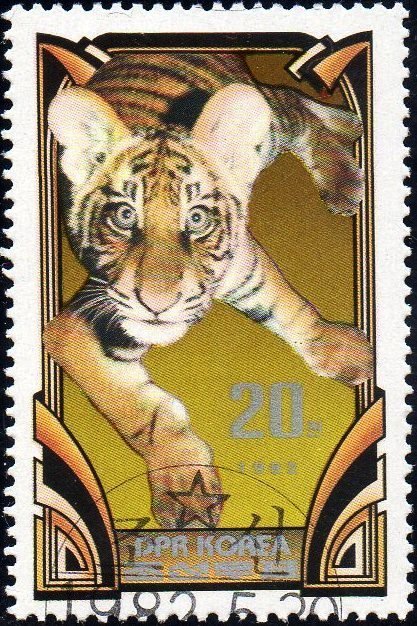 (1982-058) Марка Северная Корея "Тигренок (1)"   Тигры III &Theta;