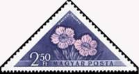 (1958-056) Марка Венгрия "Розовая гвоздика"    Цветы I Θ