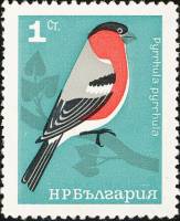 (1965-021) Марка Болгария "Снегирь"   Певчие птицы II Θ