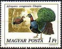 (1977-017) Марка Венгрия "Конголезский павлин"    Павлины и фазаны II Θ
