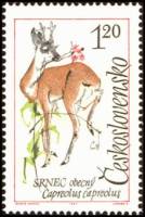 (1963-068) Марка Чехословакия "Косуля"    Животные III Θ