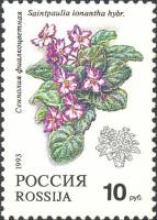 (1993-014) Марка Россия "Сенполия фиалкоцветная"   Комнатные растения III O