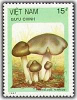 (1987-112) Марка Вьетнам "Рядовка землистая"    Грибы III Θ