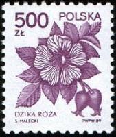 (1989-055) Марка Польша "Шиповник собачий"    Стандартный выпуск. Растения III Θ