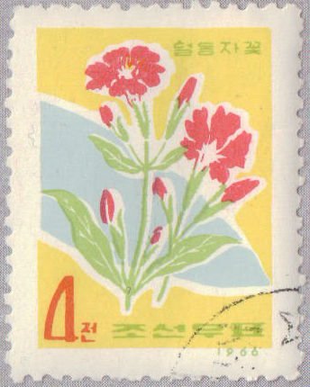 (1966-008) Марка Северная Корея &quot;Горицвет кожистый&quot;   Полевые цветы III Θ