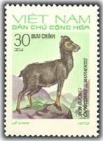 (1973-017a) Марка Вьетнам "Суматранский серау"  Без перфорации  Дикие животные III O