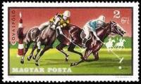 (1971-063) Марка Венгрия "Поло"    Конный спорт II Θ