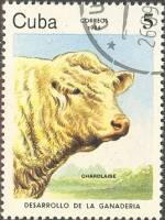 (1984-067) Марка Куба "Креольский бык"    Развитие животноводства III Θ