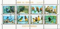 (№1972-1426) Лист марок Эмират Умм-Аль-Кувейн (ОАЭ) 1972 год "Птицы Мино малого формата 142633A", Га