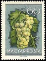 (1954-042) Марка Венгрия "Виноград"    Сельскохозяйственная выставка II Θ