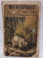 Книга Мир в картинках. Дикие звери вмех частей света 1874 М.О. Вольф Москва Твёрдая обл. 80 с. С цв 