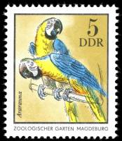 (1975-021) Марка Германия (ГДР) "Сине-жёлтый ара"    Животные зоопарка III Θ