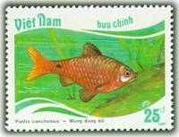 (1988-015) Марка Вьетнам "Огненный барбус"    Тропические рыбы III Θ