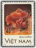 (1987-077) Марка Вьетнам "Кристателла"    Кораллы III Θ