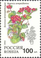 1993-018 Марка Россия Бегония вечноцветущая  Комнатные растения III O