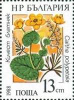 (1988-004) Марка Болгария "Календула болотная"   Водные растения III Θ