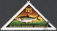(1962-035) Марка Монголия "Амурский язь"    Пресноводные и морские рыбы III O