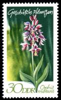 (1970-035) Марка Германия (ГДР) "Ятрышник шлемоносный"    Растения под защитой III Θ