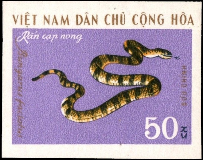 (1970-049) Марка Вьетнам &quot;Ленточный крайт&quot;   Ядовитые змеи III Θ