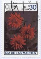 (1987-025) Марка Куба "Кактусовые георгины"    Цветы II Θ