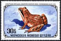 (1972-050) Марка Монголия "Травяная лягушка"    Рептилии III Θ