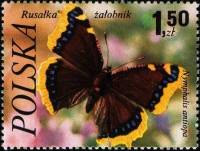 (1977-037) Марка Польша "Траурница"    Бабочки III Θ