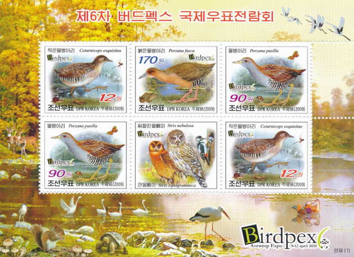 (№2009-5483) Лист марок Корея Северная 2009 год &quot;Международная выставка Марка BIRDPEX 6 Антверпен 20