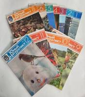 Набор журналов (11 шт) Юный натуралист Годовая подборка 1985 № 1, 2, 3, 4, 5, 6, 8, 9, 10, 11, 12 Мо