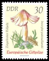 (1974-033) Марка Германия (ГДР) "Волоконница Патуйяра"    Ядовитые грибы III O