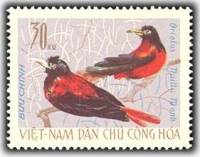 (1966-038) Марка Вьетнам "Бордовая иволга"   Птицы III Θ