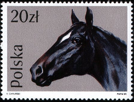 (1989-003) Марка Польша &quot;Чистокровная верховая&quot;    Лошади III O