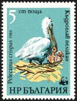 (1984-072) Марка Болгария "Пеликан (1)"   Всемирная охрана природы III O